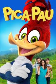 Pica-Pau: O Filme