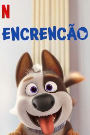 EncrenCão