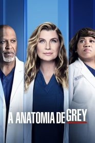 A Anatomia de Grey – Grey’s Anatomy